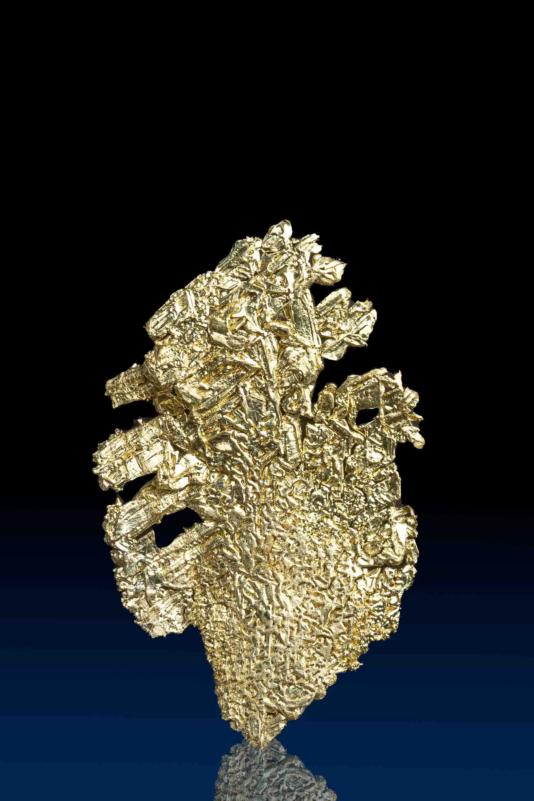 (image for) Dazzling Crystallized Gold Specimen - Farncomb Hill, Colorado